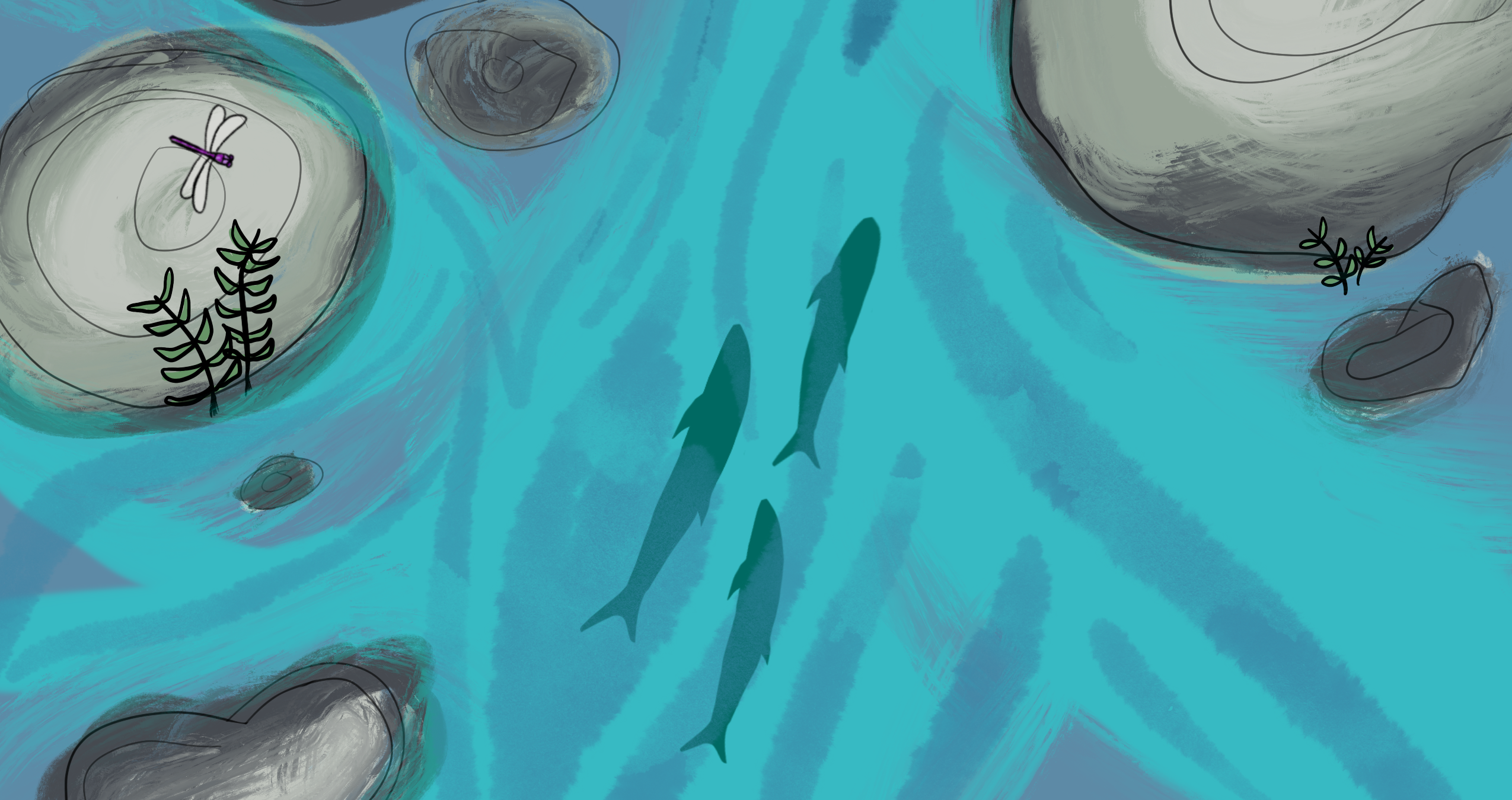 The silhouettes of three fish under water swimming down a stream.